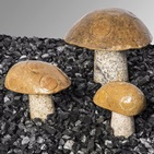 Pilz Granit, gelb