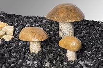 Pilz Granit, gelb