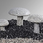 Pilz Granit, grau